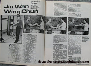 Jiu Wan Wing Chun