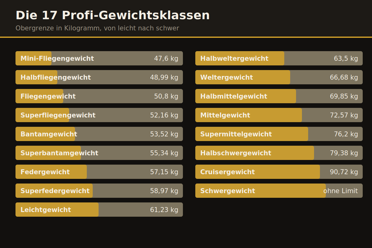 Grafik mit allen 17 Gewichtsklassen im Profiboxen und ihren Limits in Kilogramm