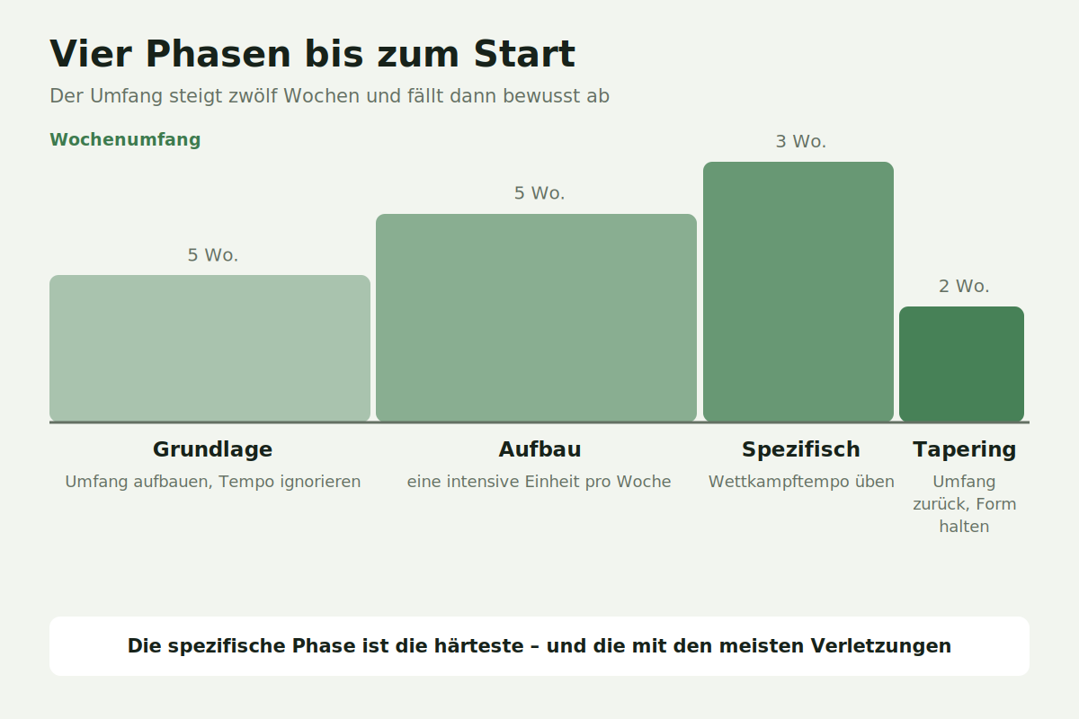 Vier Phasen bis zum Start Vier Phasen der Halbmarathon-Vorbereitung mit Umfangverlauf über 14 Wochen