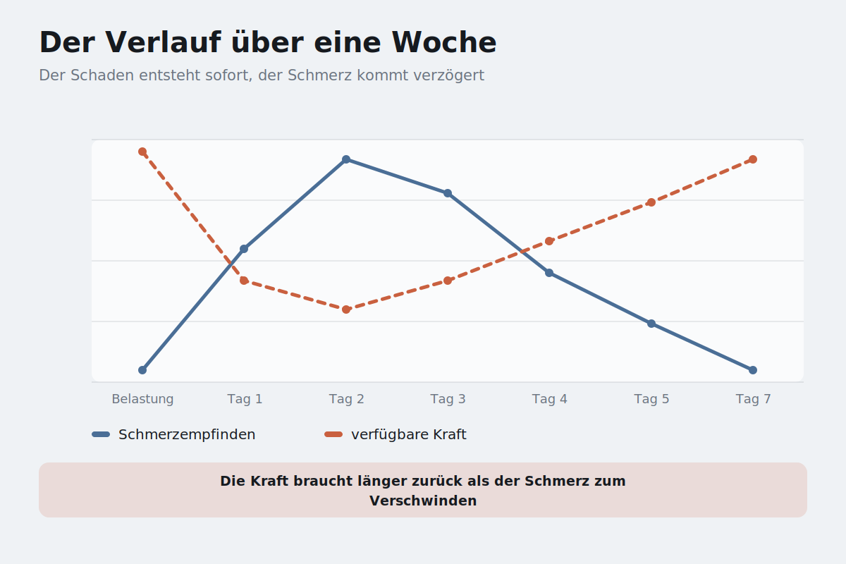 Der Verlauf über eine Woche Zeitlicher Verlauf von Muskelkater über sieben Tage mit Schmerzintensität und Kraftverlust
