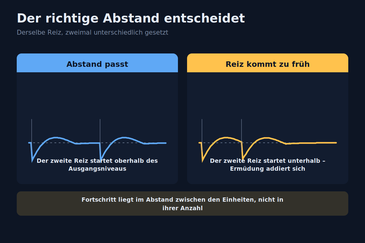Verlauf von Belastung, Ermüdung und Anpassung mit richtigem und zu frühem Folgereiz